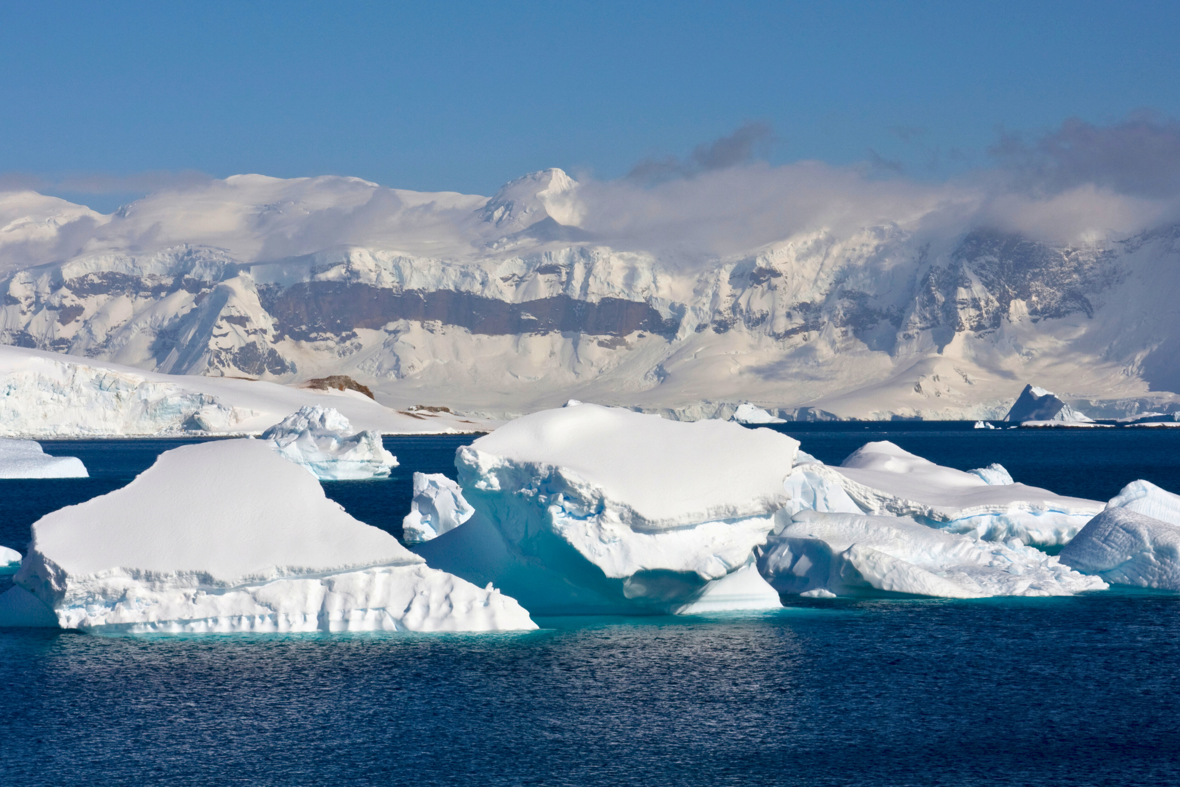 123 cuverville island.webp